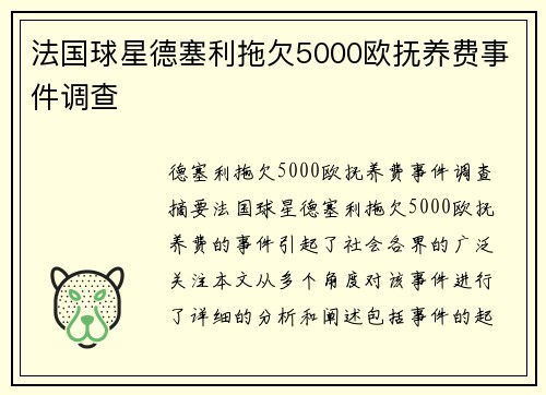 法国球星德塞利拖欠5000欧抚养费事件调查